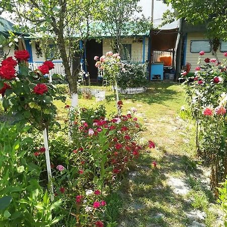 Camping Casuta Mihaela Crisan  Exterior foto