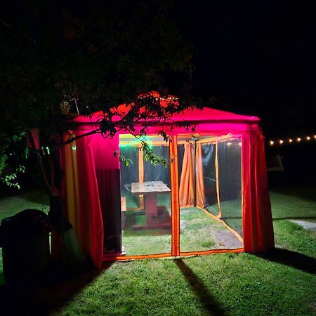 Camping Casuta Mihaela Crisan  Exterior foto