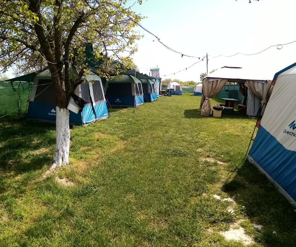 Camping Casuta Mihaela Crisan  Exterior foto