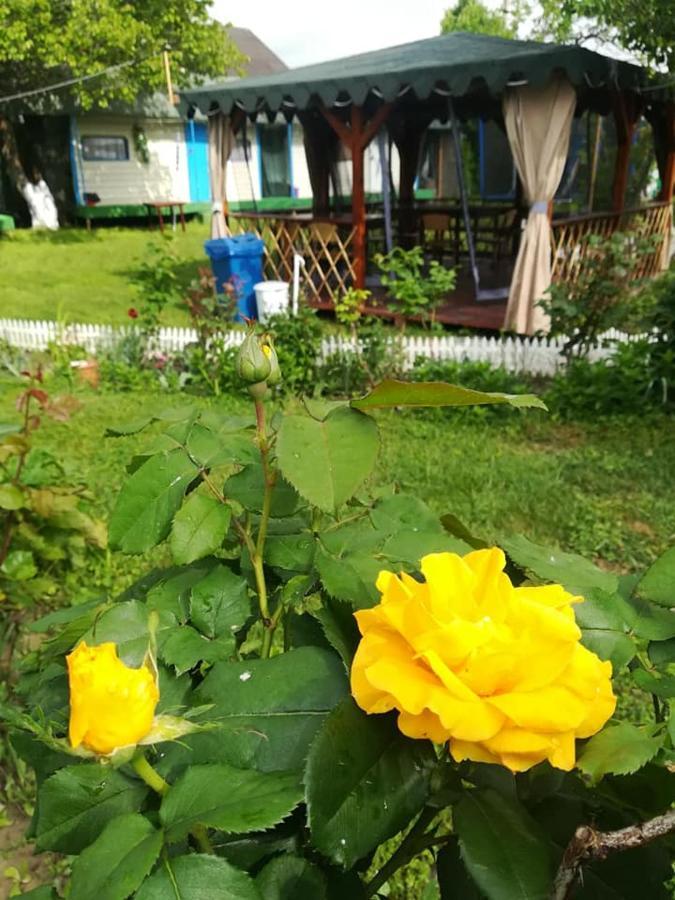 Camping Casuta Mihaela Crisan  Exterior foto