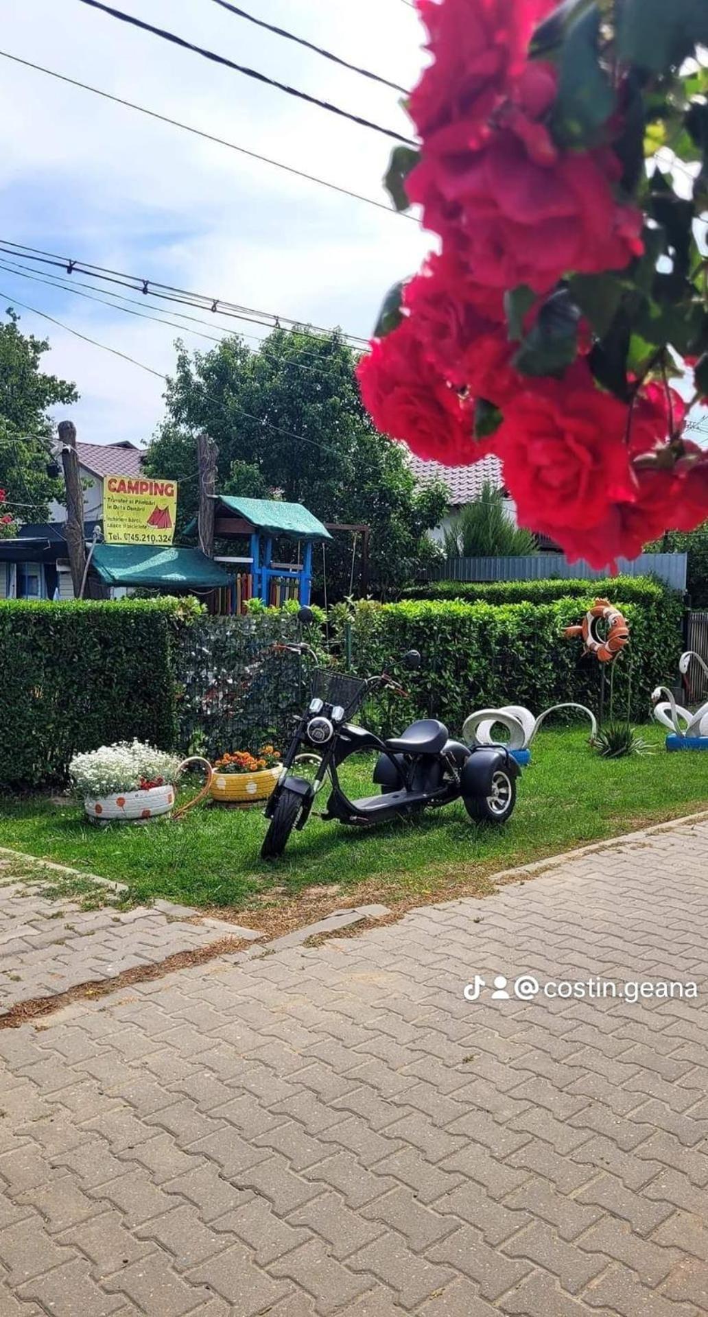 Camping Casuta Mihaela Crisan  Quarto foto