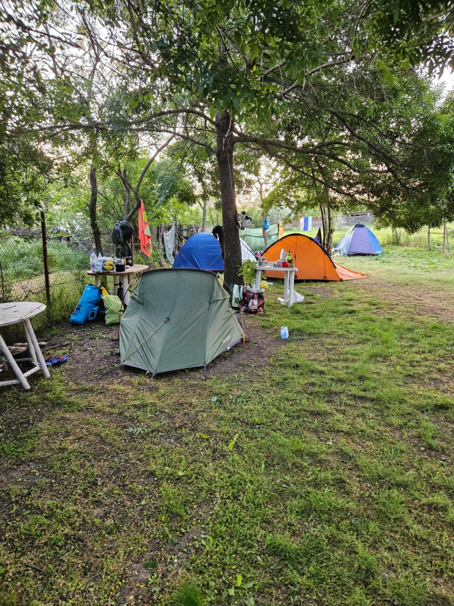 Camping Casuta Mihaela Crisan  Quarto foto