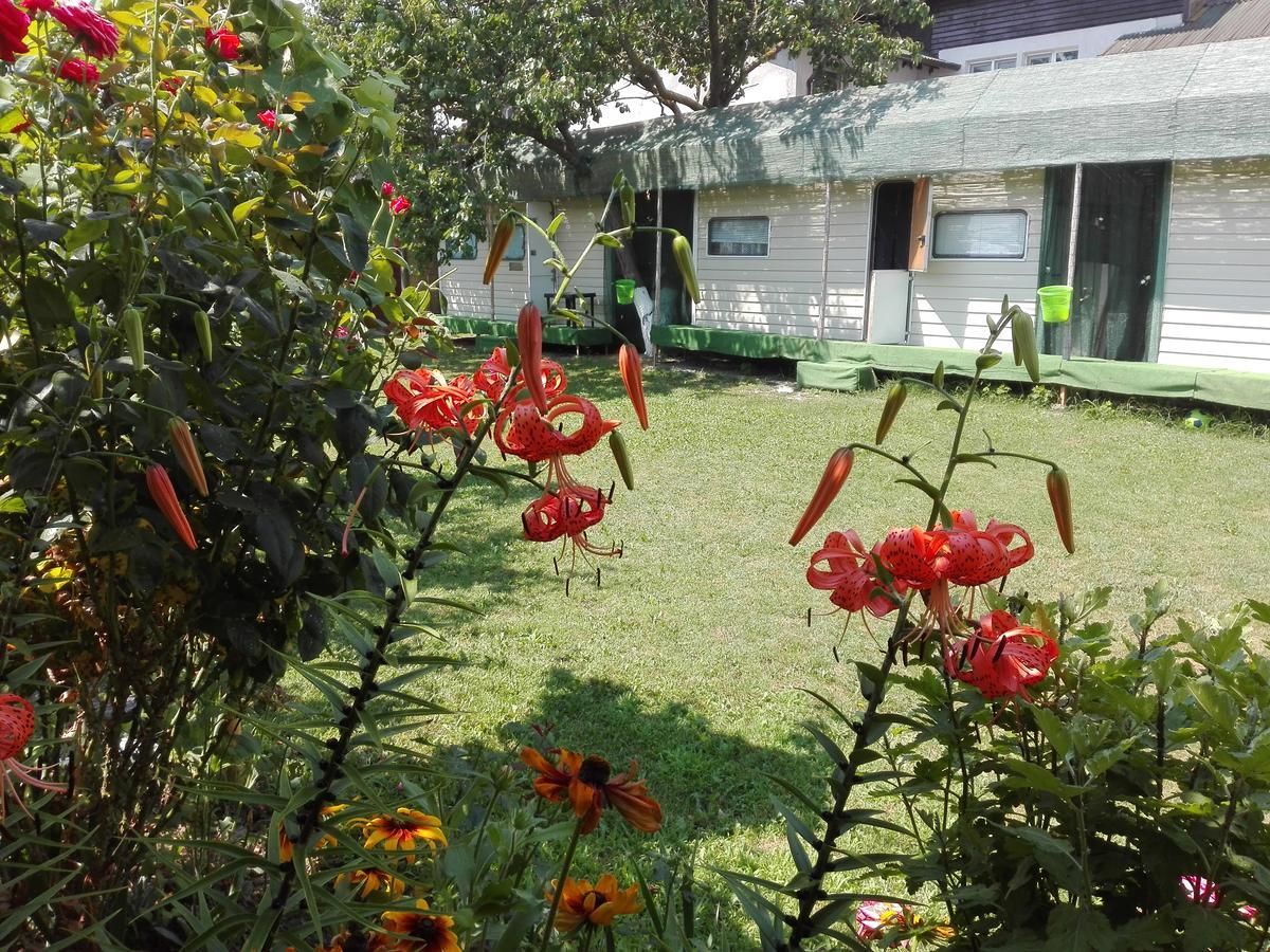 Camping Casuta Mihaela Crisan  Exterior foto