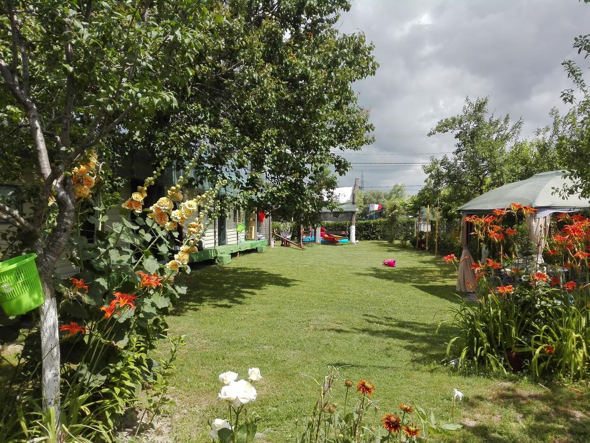 Camping Casuta Mihaela Crisan  Exterior foto
